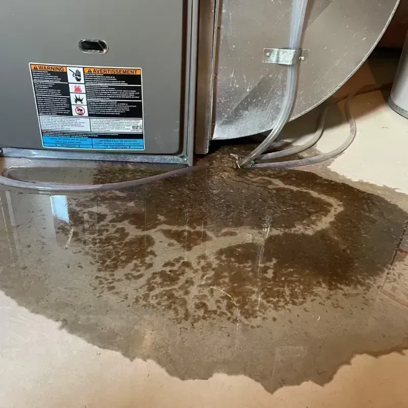 Appliance Leak Cleanup in Lovington, IL